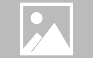 陇南机械网站搭建全包（机械网址大全）